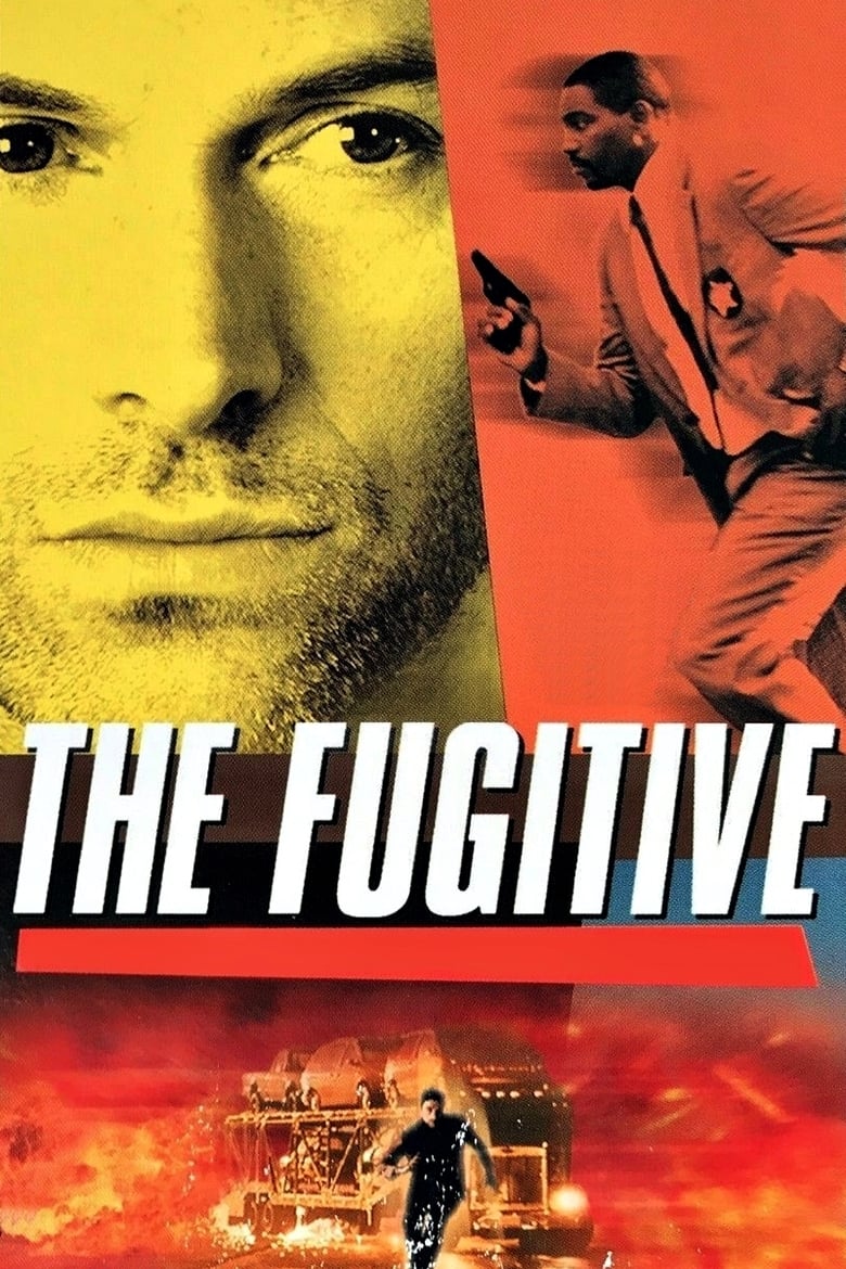 Poster of The Fugitive