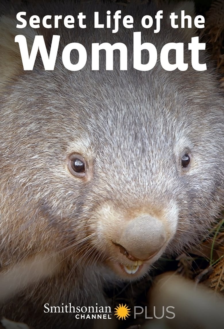 Poster of Secret Life of the Wombat