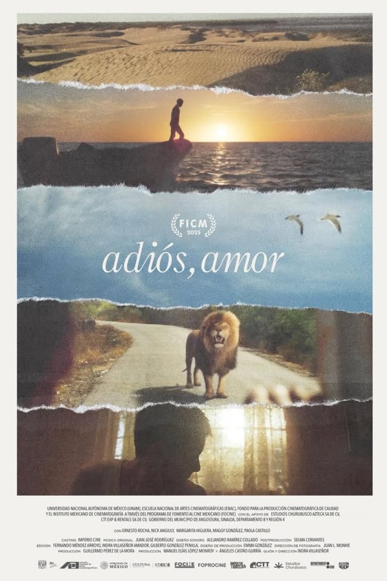 Poster of Goodbye, Love