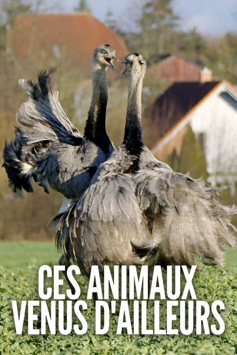 Poster of Ces animaux venus d'ailleurs