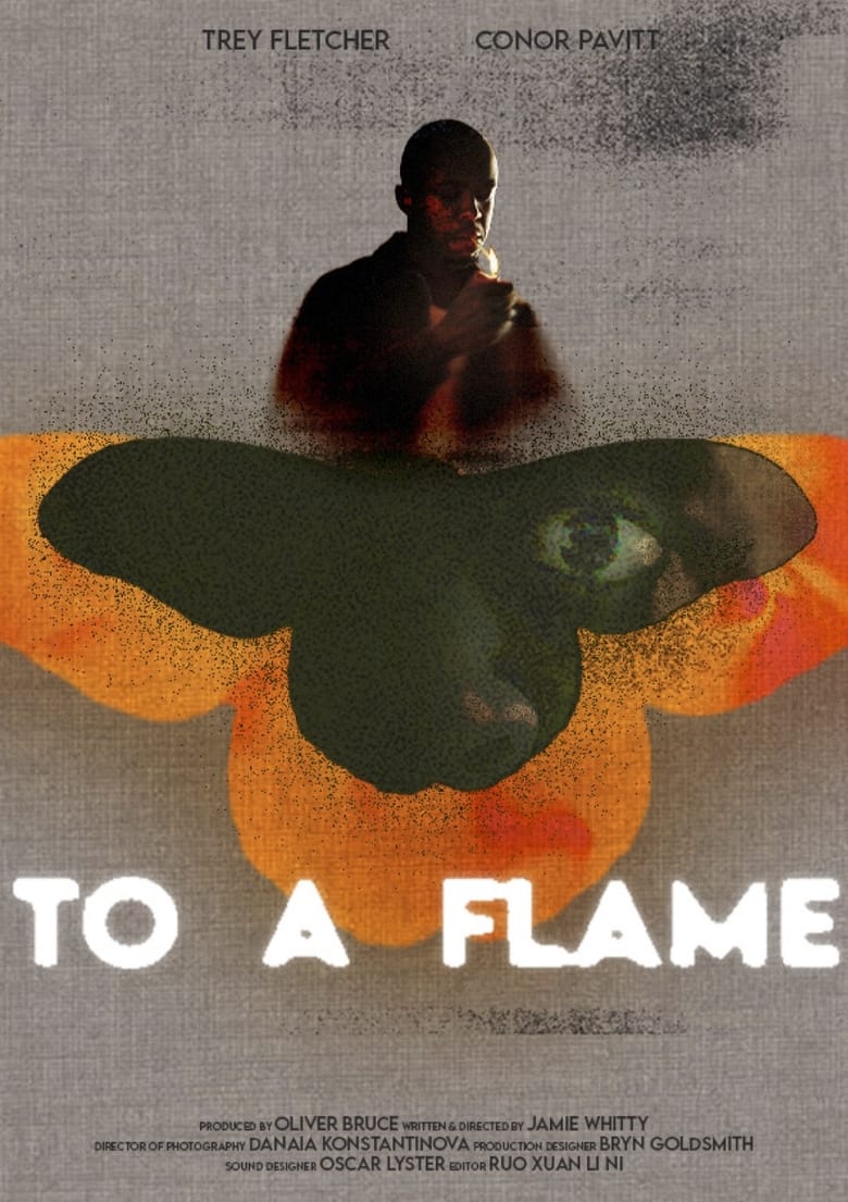 Poster of To A Flame