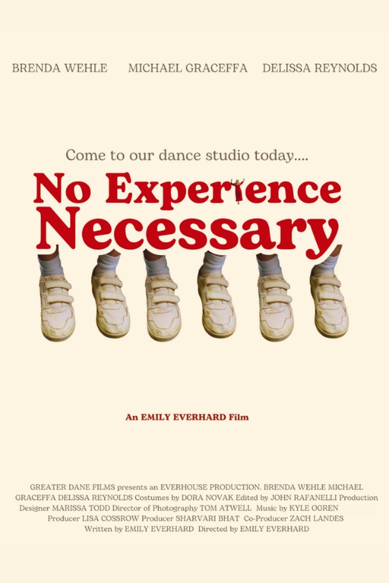 Poster of No Experience Necessary