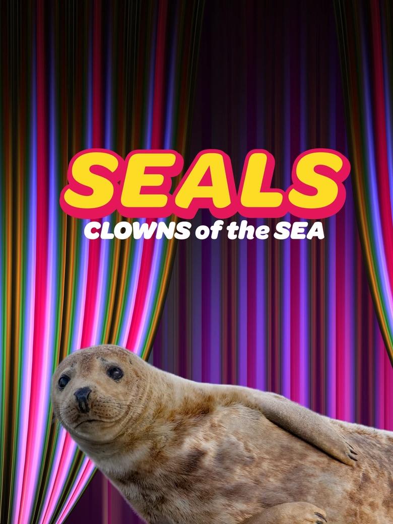 Poster of Seals - Clowns of the Sea