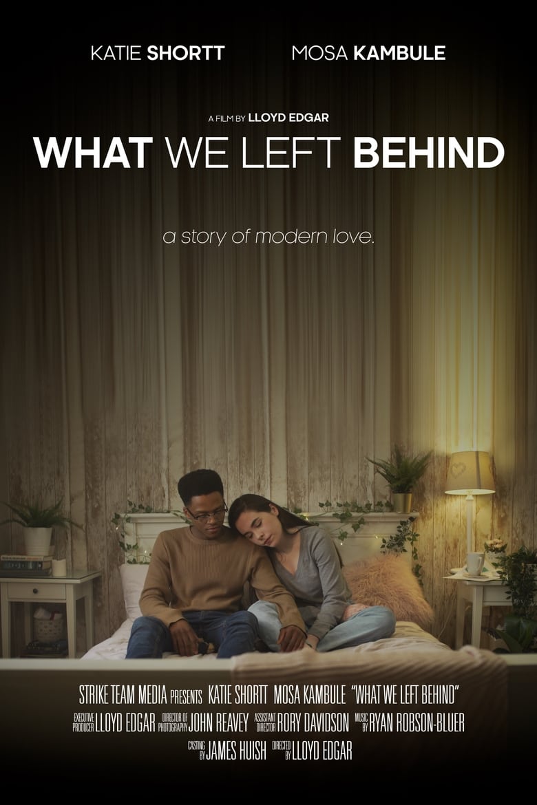 Poster of What We Left Behind