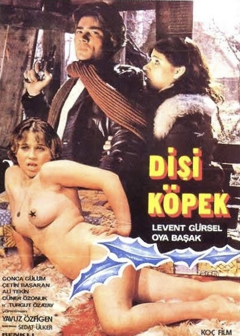 Poster of Dişi Köpek