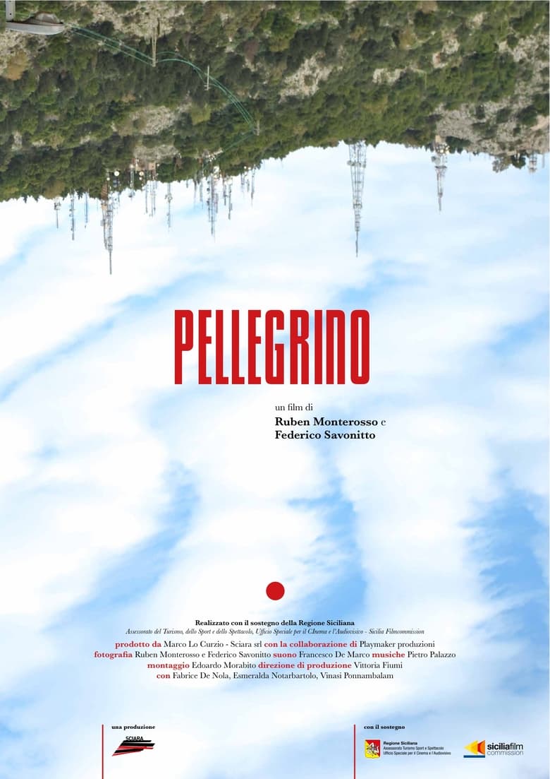 Poster of Pellegrino