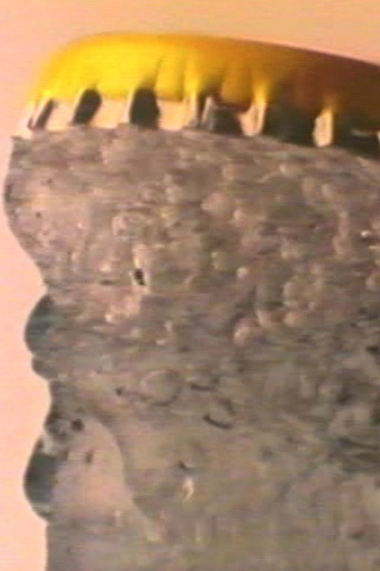 Poster of Schweppes Ad