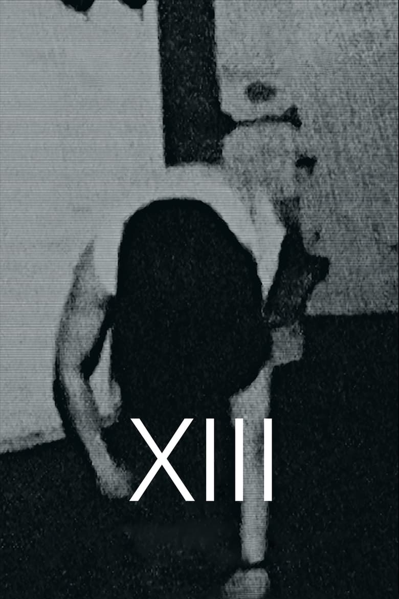 Poster of XIII