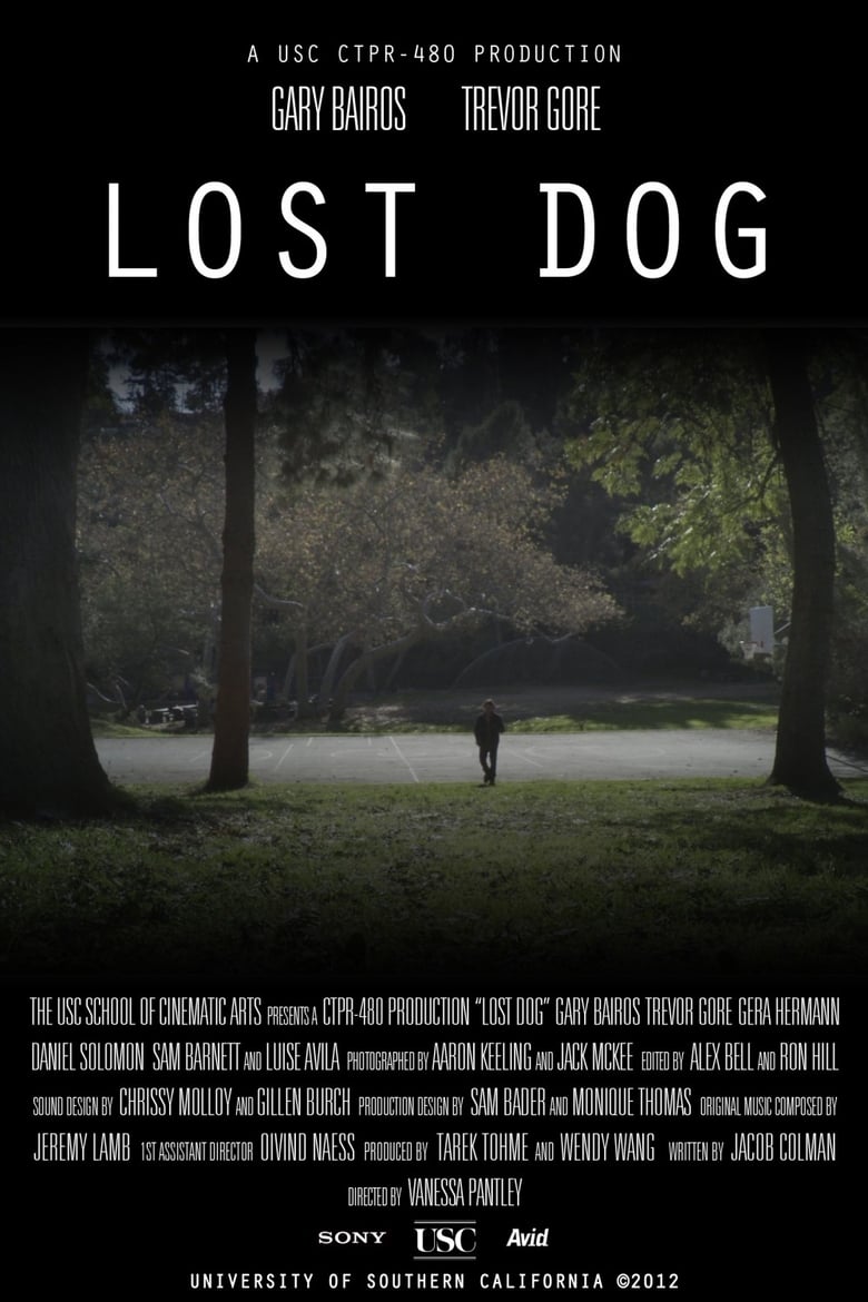 Poster of Lost Dog