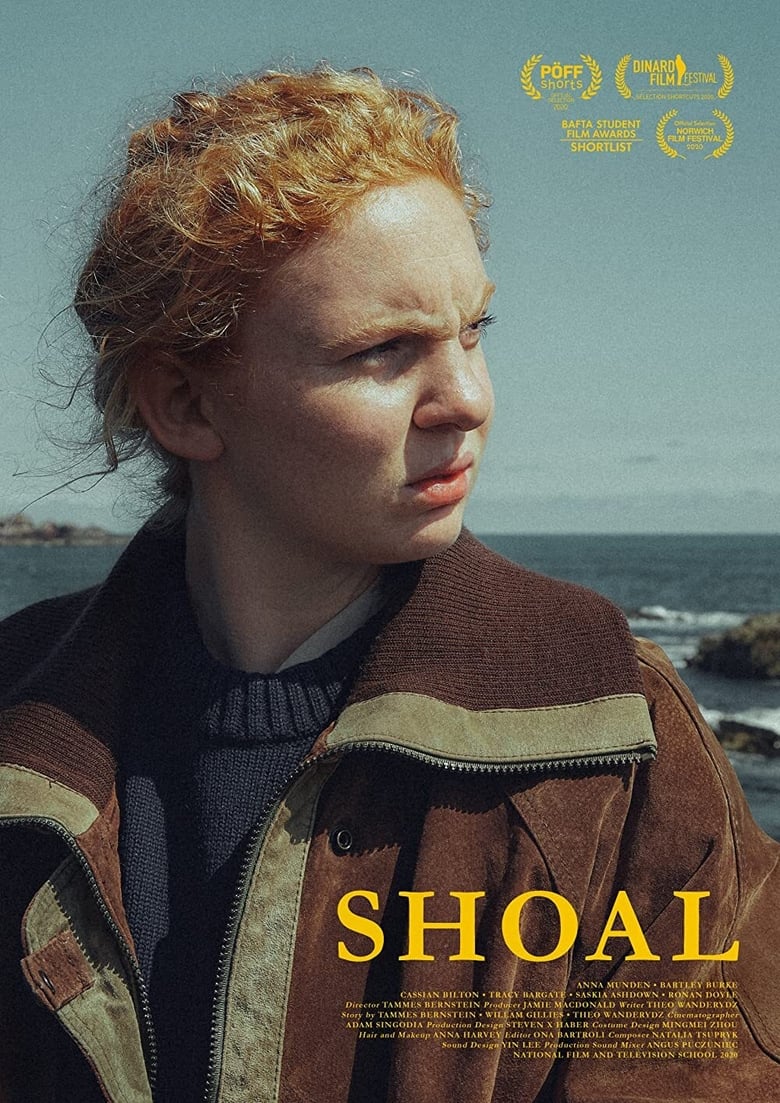 Poster of Shoal