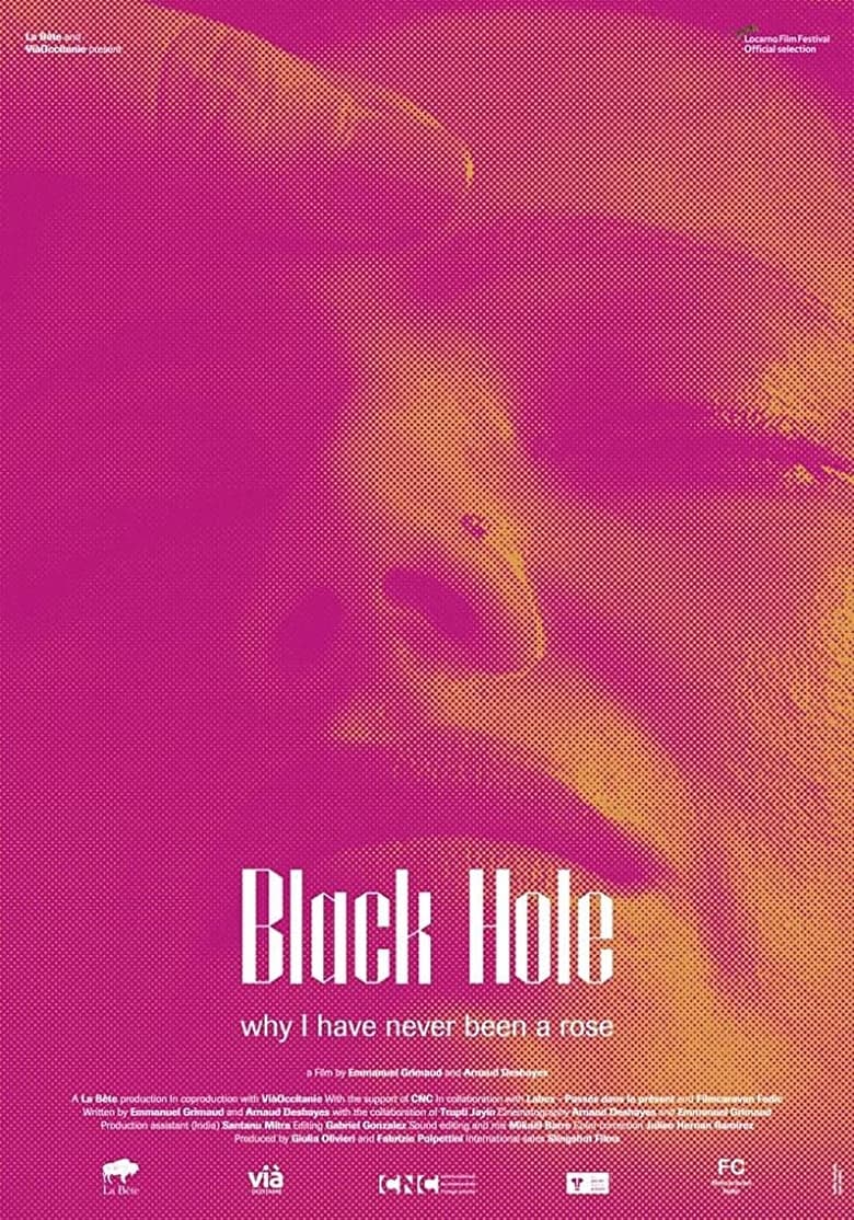 Poster of Black Hole