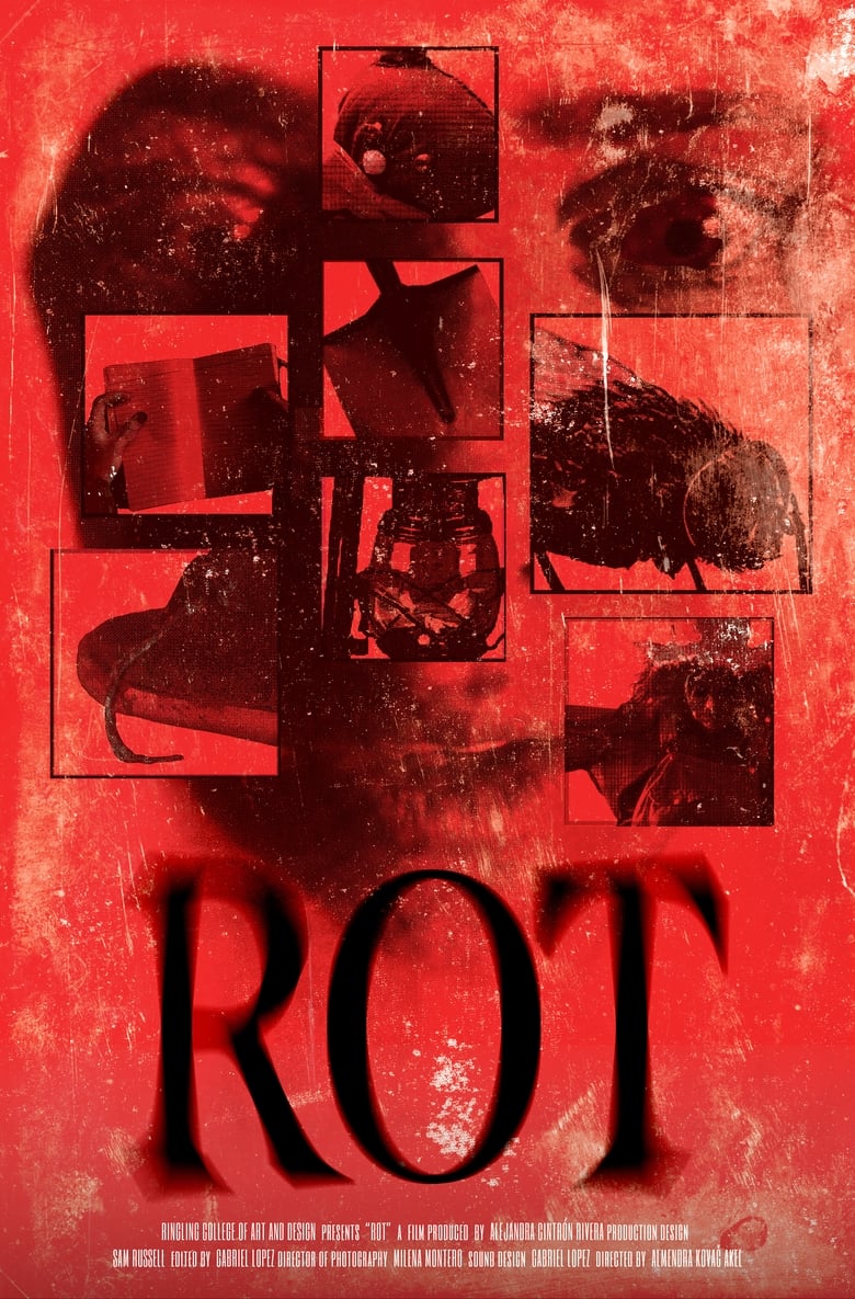 Poster of ROT