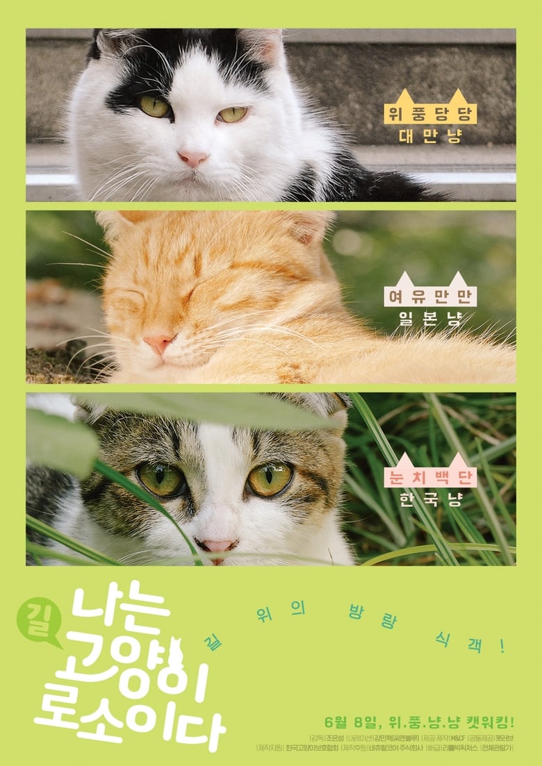 Poster of I am a Cat