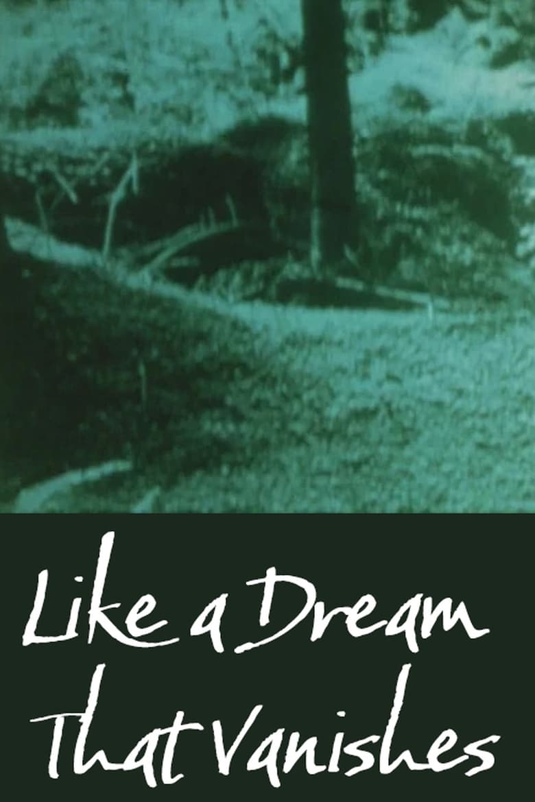 Poster of Like a Dream that Vanishes