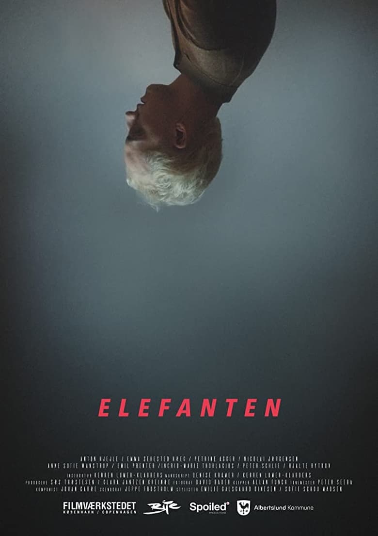 Poster of Elefanten