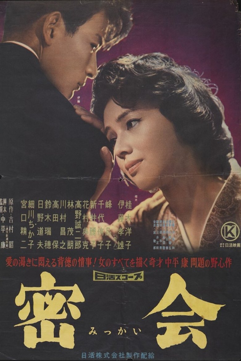 Poster of A Secret Rendezvous