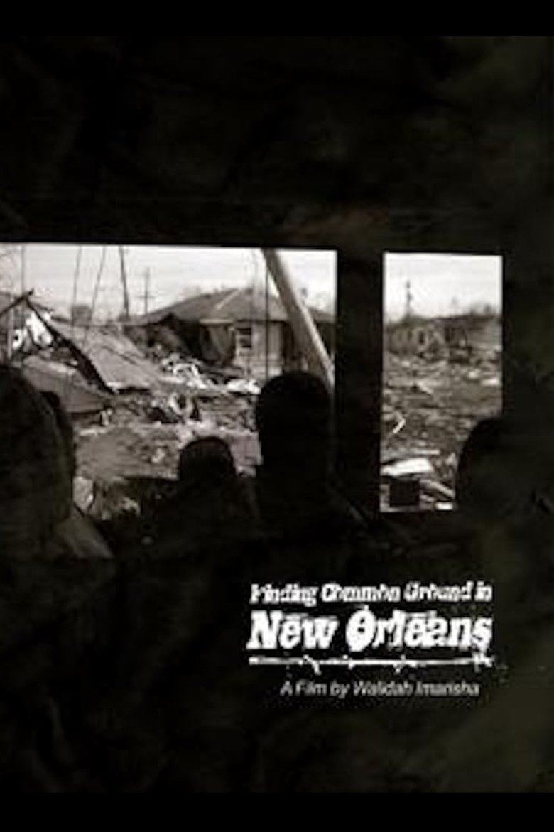 Poster of Finding Common Ground in New Orleans