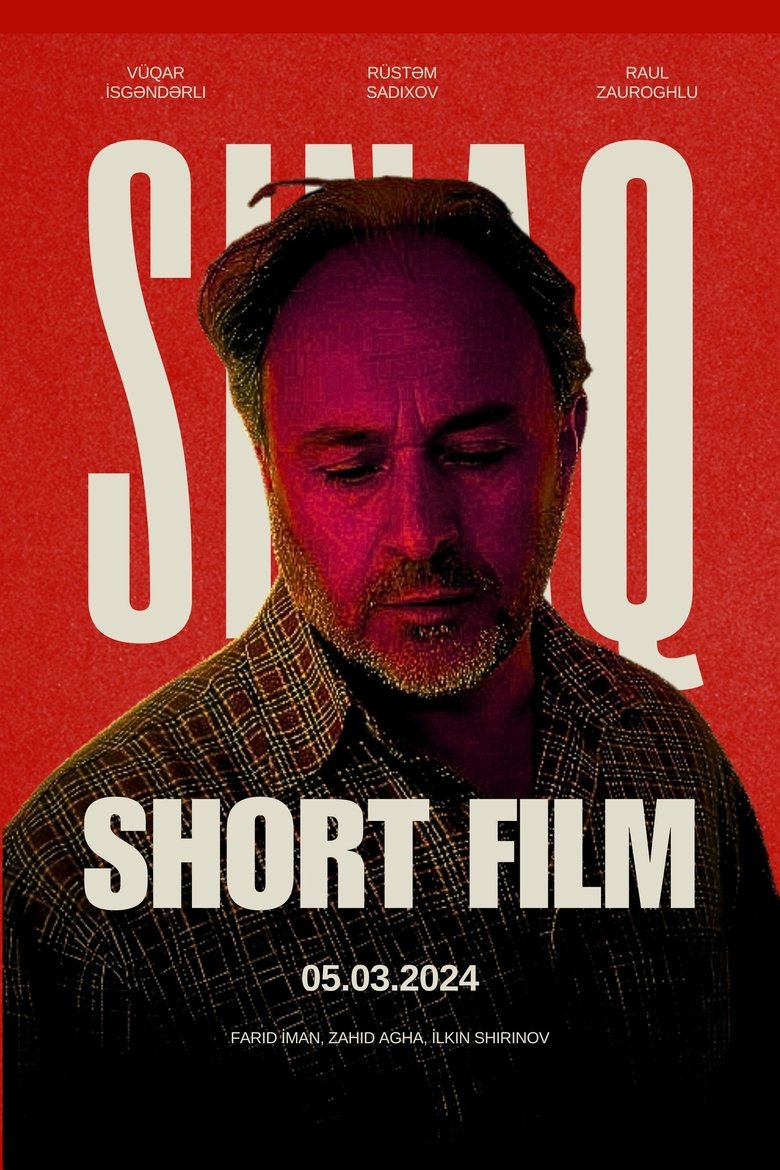 Poster of Sınaq