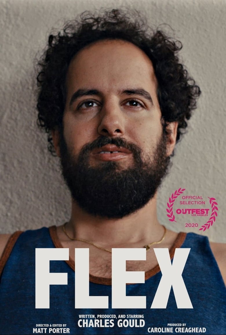 Poster of Flex