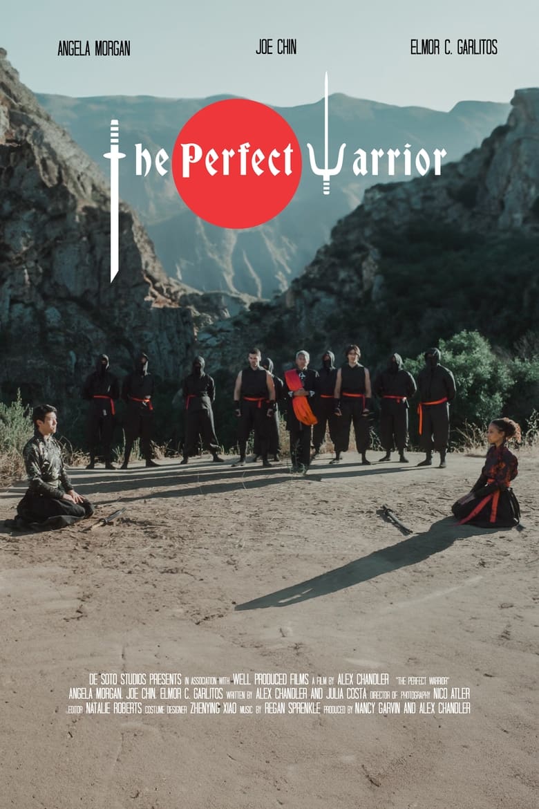 Poster of The Perfect Warrior