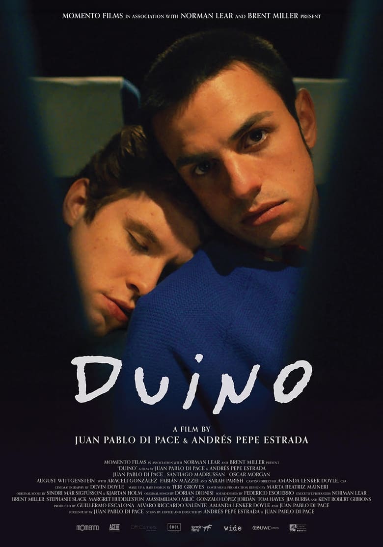 Poster of Duino