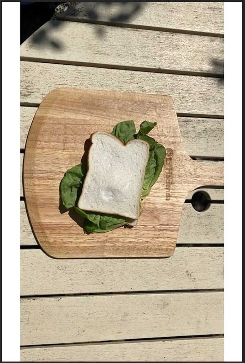 Poster of The Sandwich