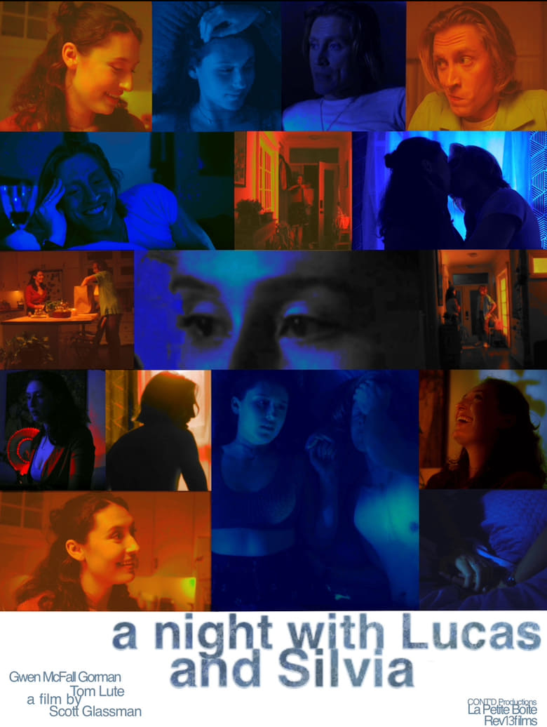 Poster of A Night With Lucas and Silvia