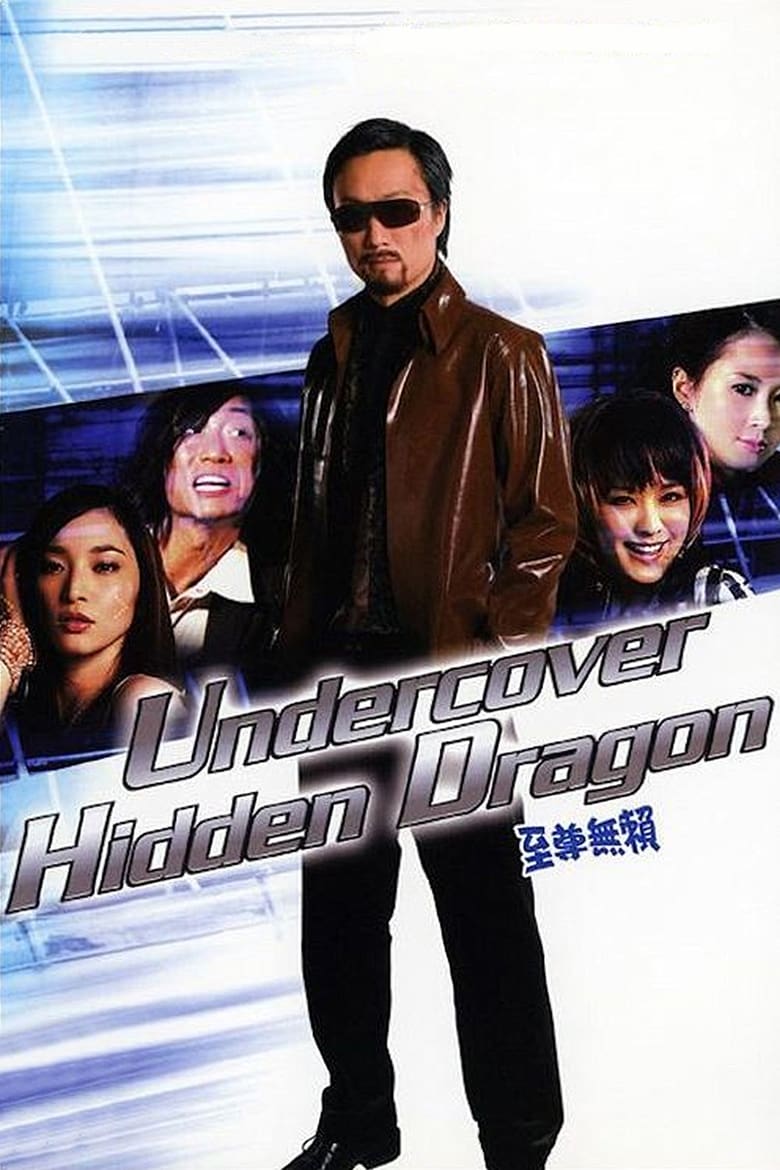 Poster of Undercover Hidden Dragon