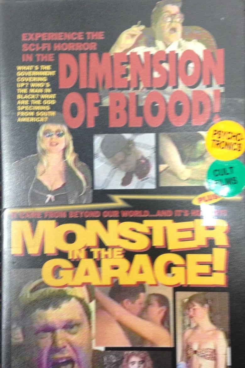 Poster of Dimension of Blood