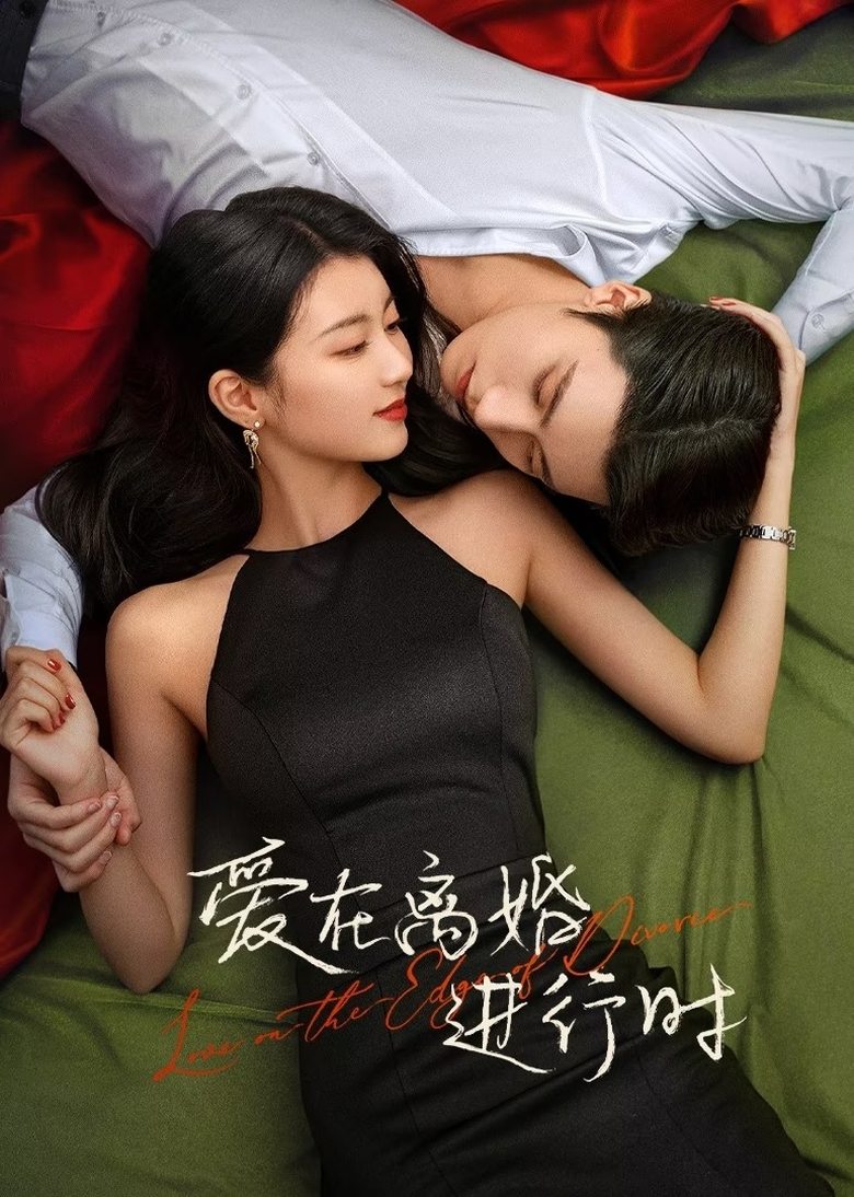 Poster of Love on the Edge of Divorce