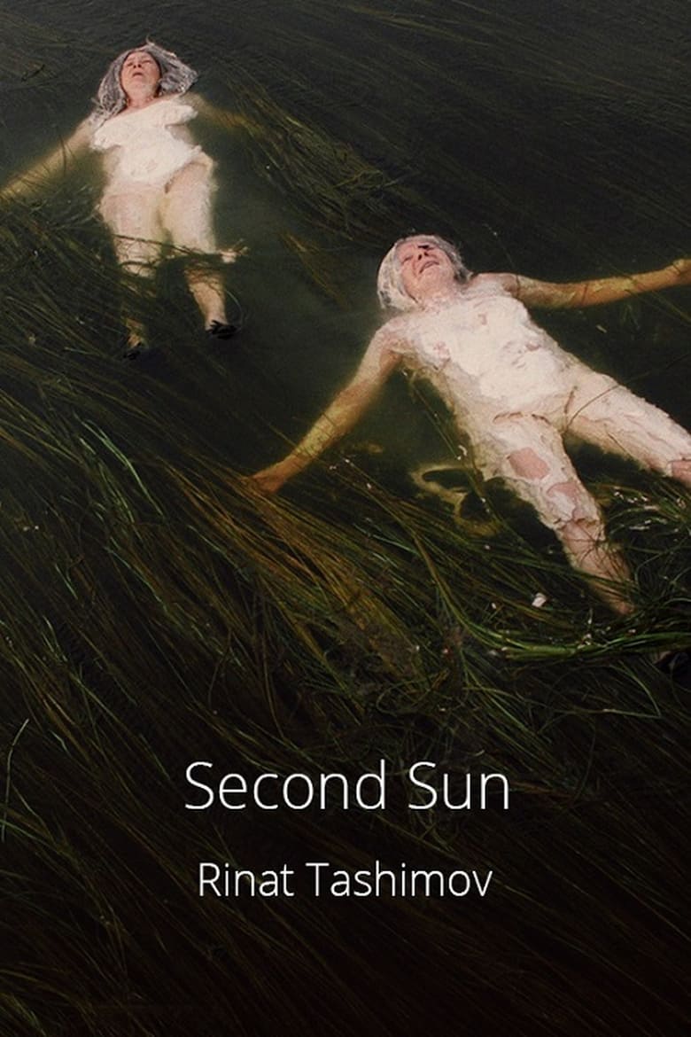 Poster of Second Sun