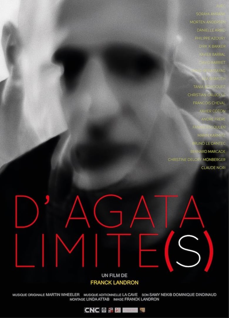 Poster of D’Agata limite(s)