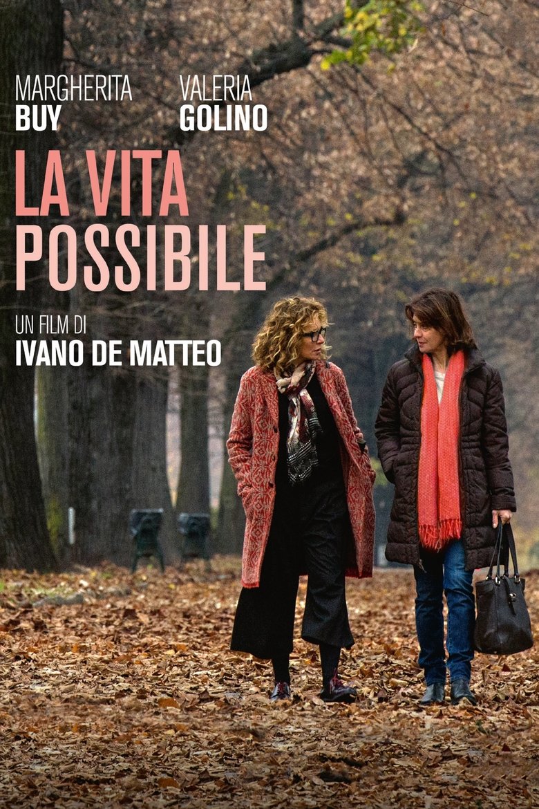 Poster of La vita possibile