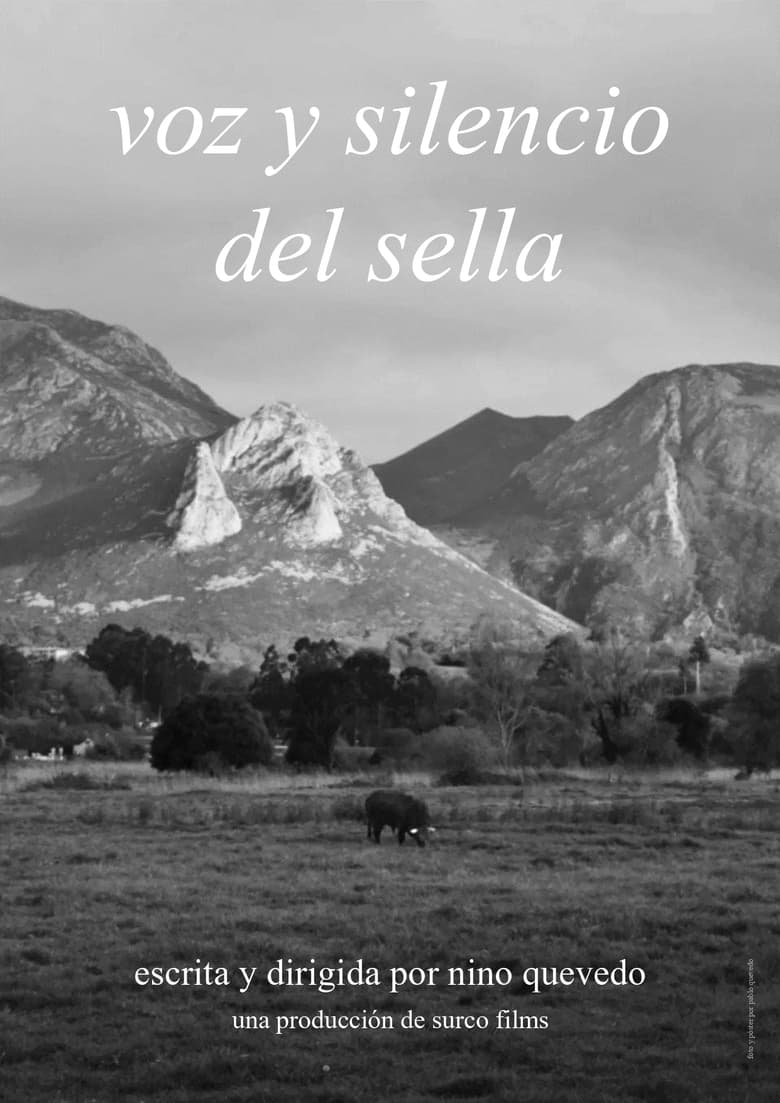 Poster of Voice and silence of the Sella