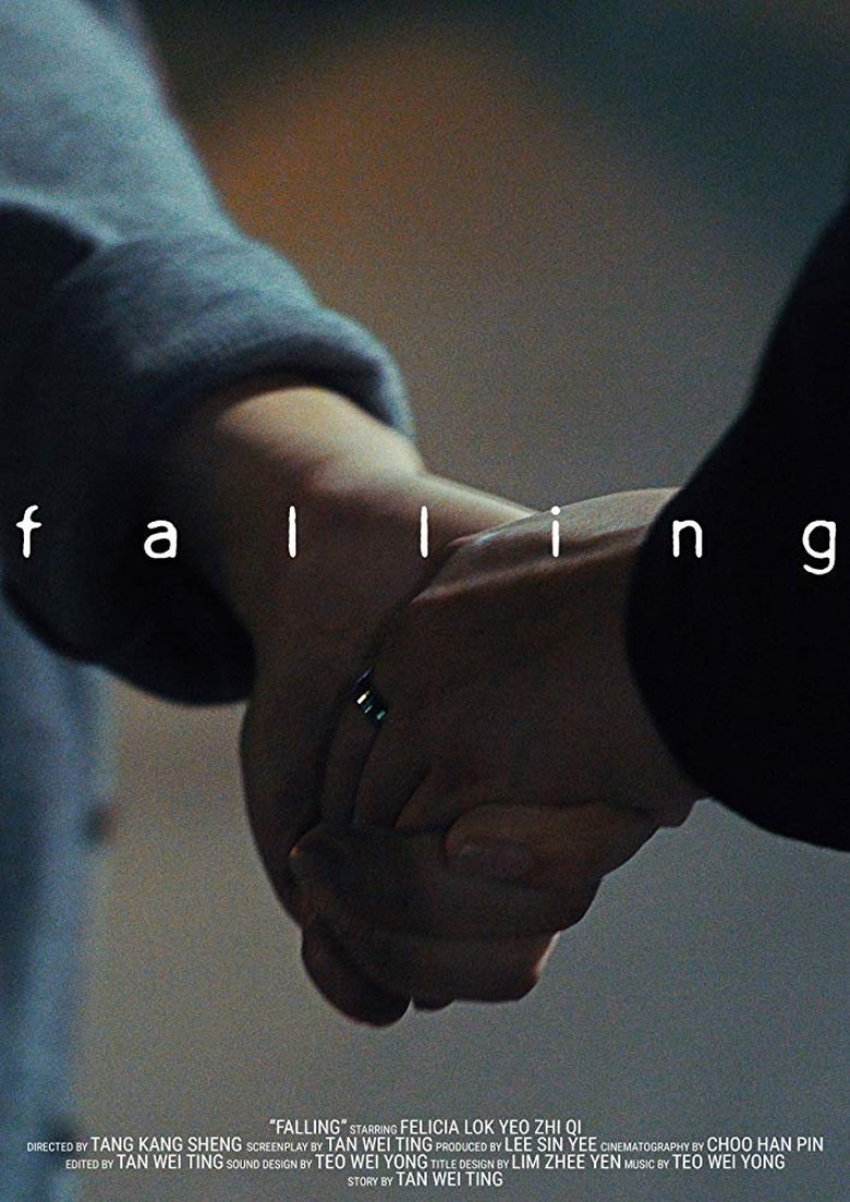 Poster of Falling