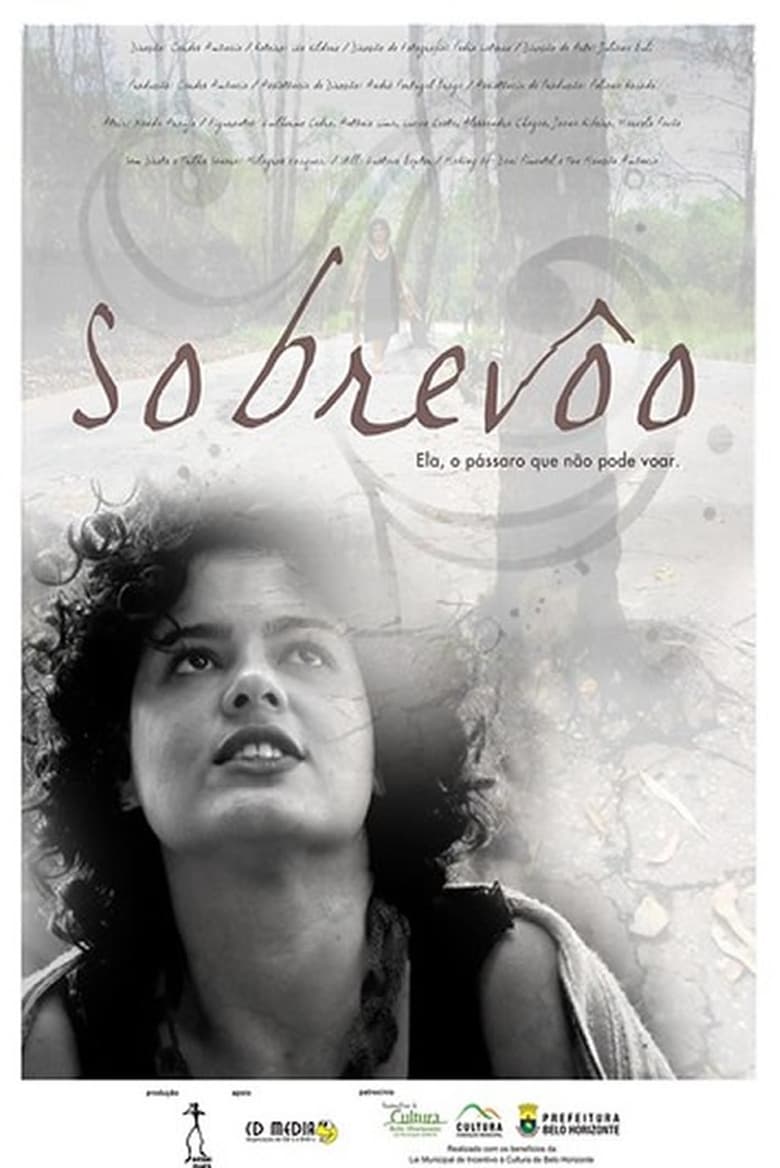 Poster of Sobrevôo