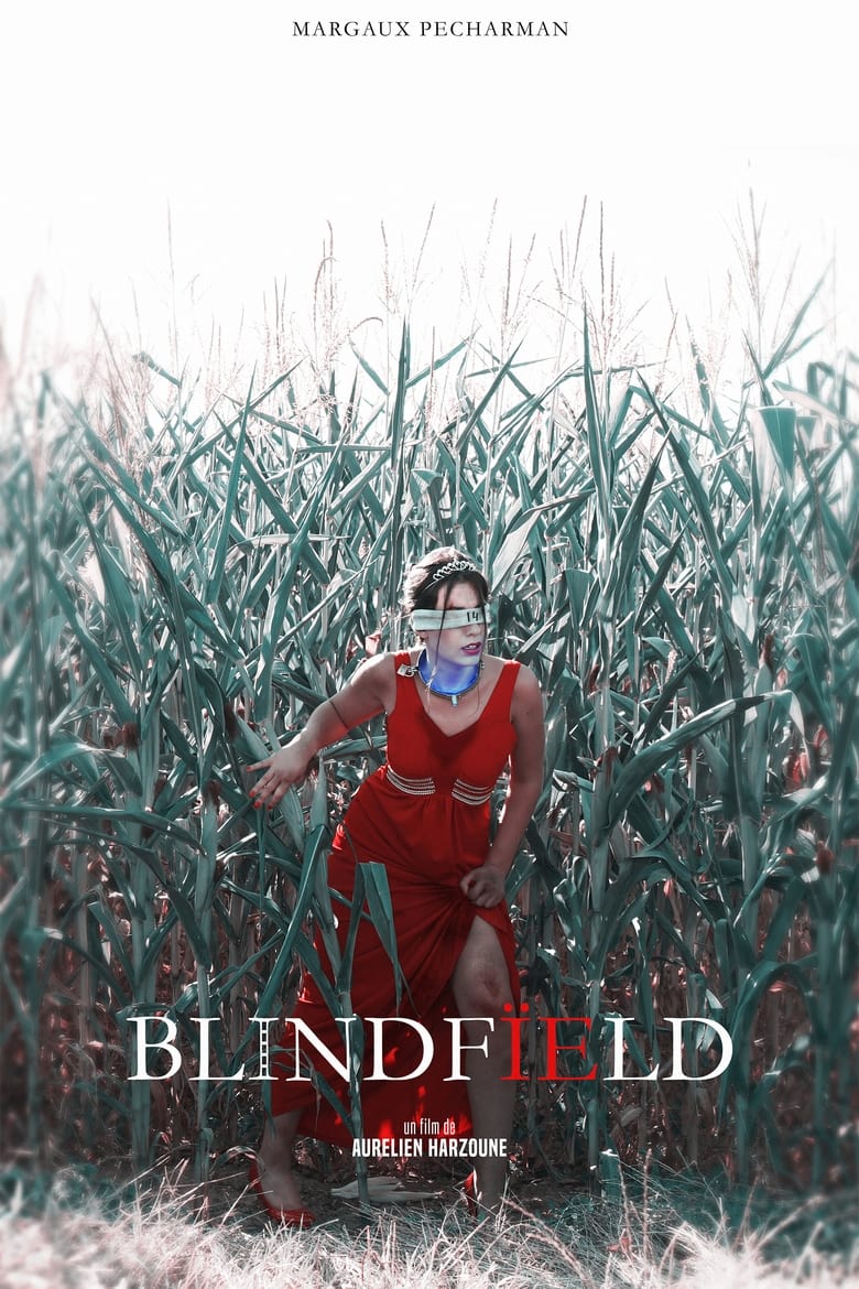 Poster of BLINDFÏELD