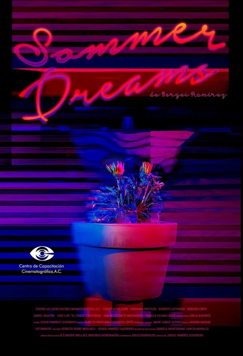 Poster of Sommer Dreams