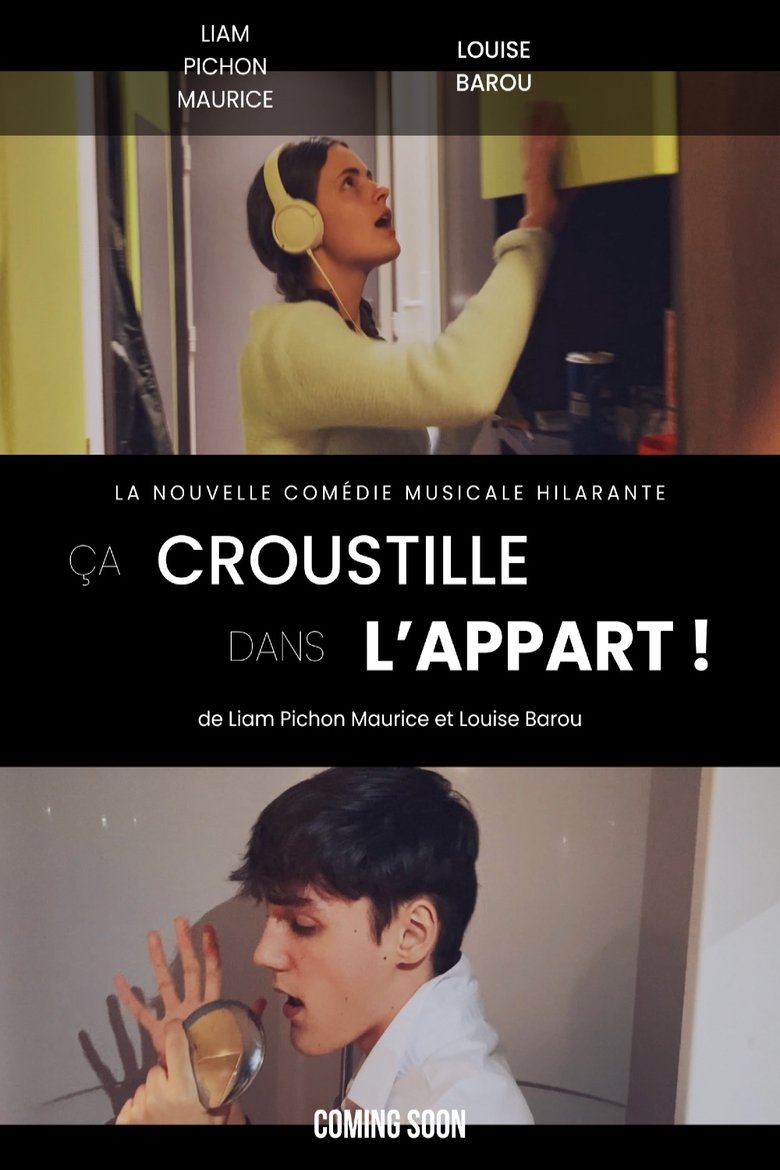 Poster of ça croustille dans l'appart