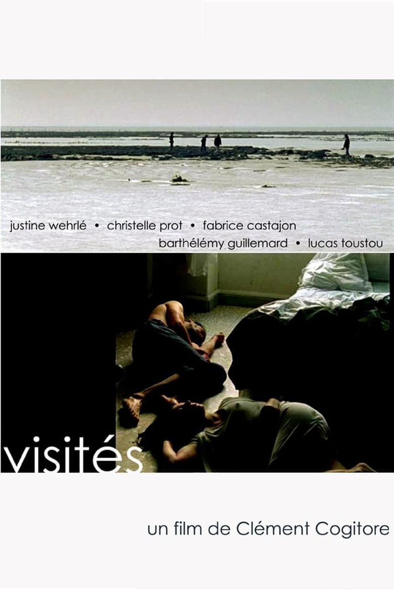 Poster of Visités