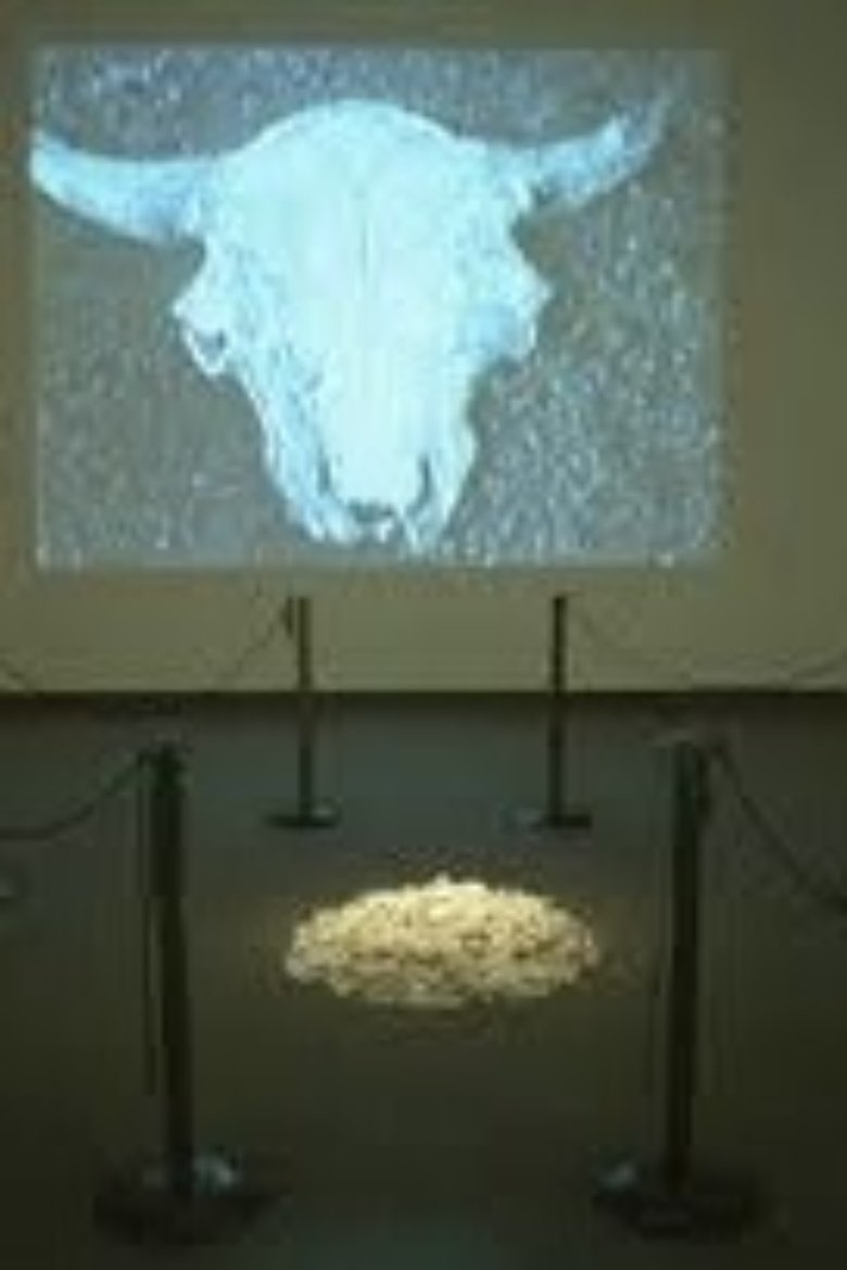 Poster of Buffalo Bone China
