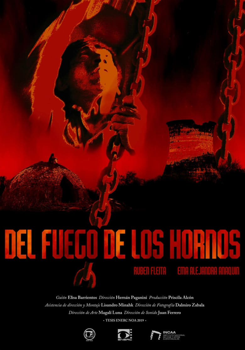 Poster of Del Fuego de los Hornos