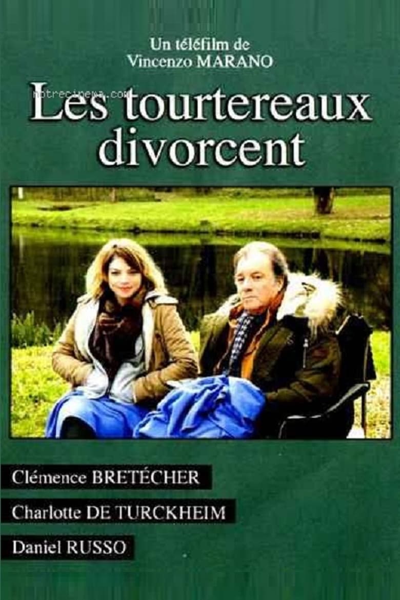 Poster of Les tourtereaux divorcent