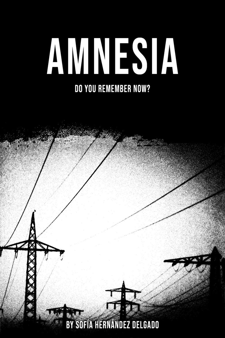 Poster of Amnesia