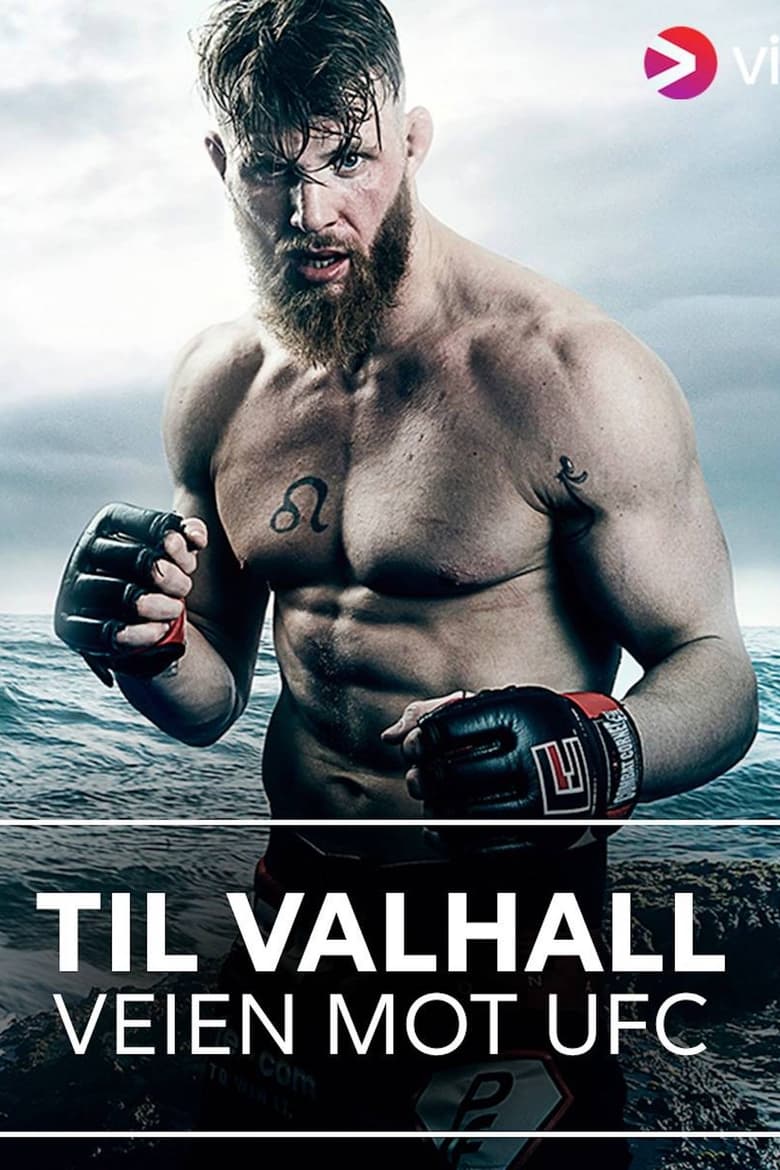 Poster of To Valhalla