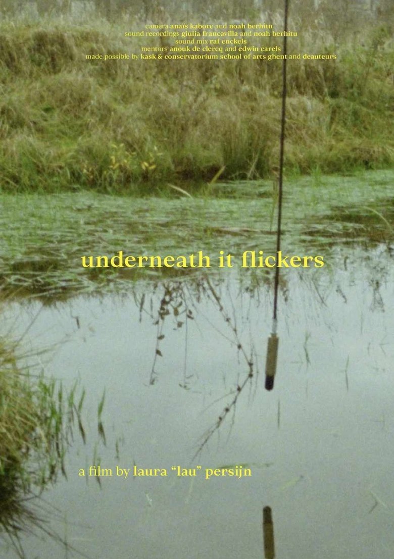 Poster of underneath it flickers
