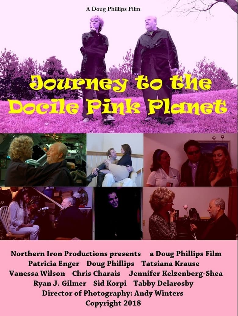 Poster of Journey to the Docile Pink Planet