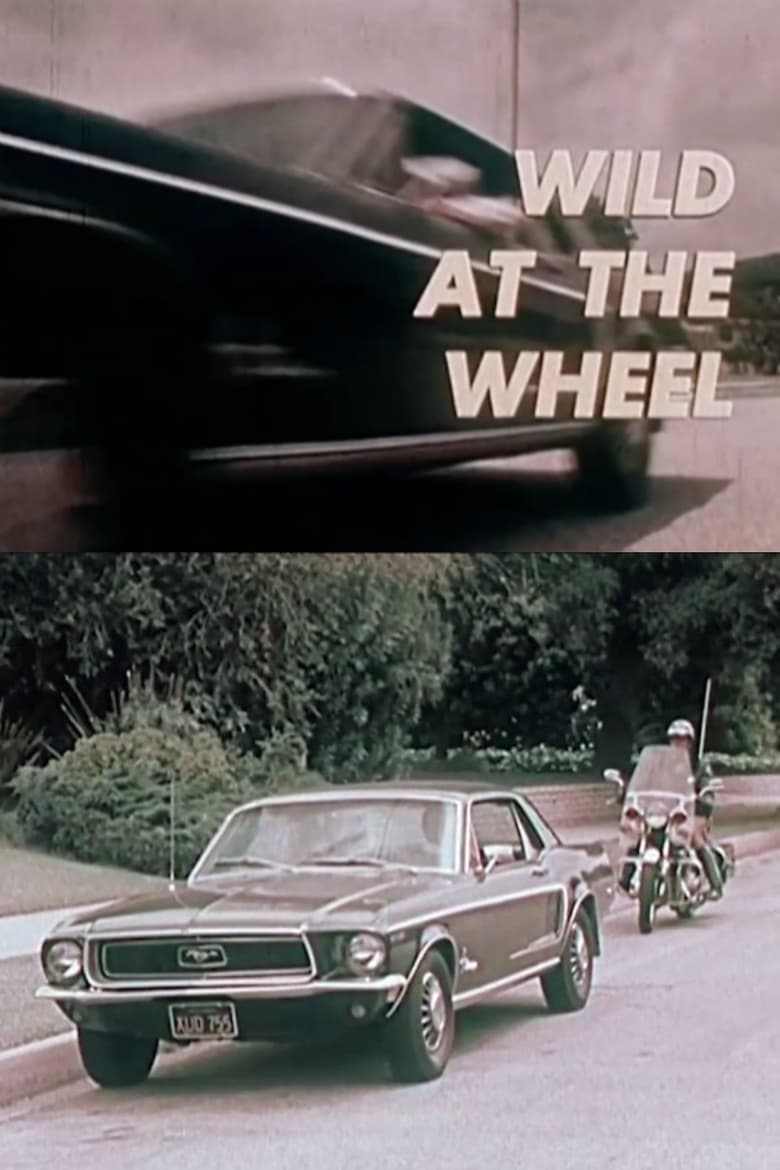 Poster of Wild at the Wheel