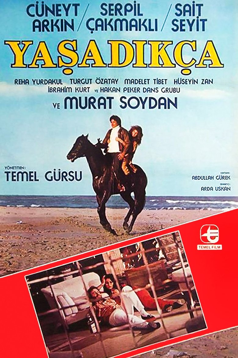 Poster of Yaşadıkça