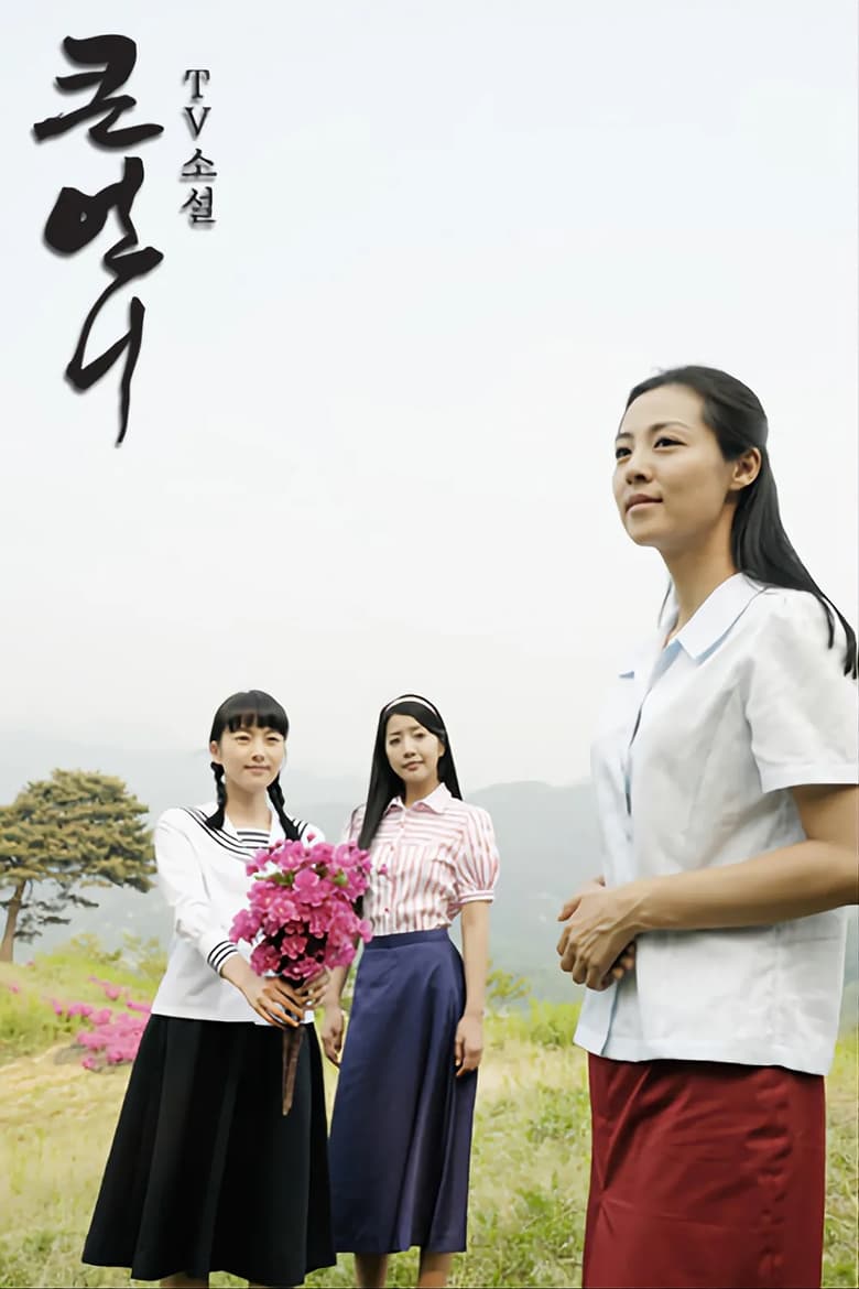 Poster of 큰언니